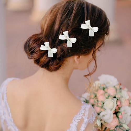 24-Piece Mini Bowknot Hair Clips Set for Women & Girls