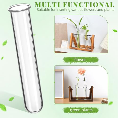 Hydroponic Plant Propagation Tubes - 4 Clear Glass Vases for Home