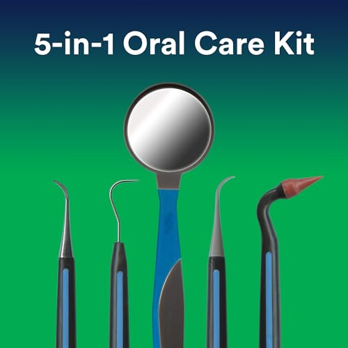 DenTek Professional Oral Care Kit with Triple Clean Floss Picks - 150 Count