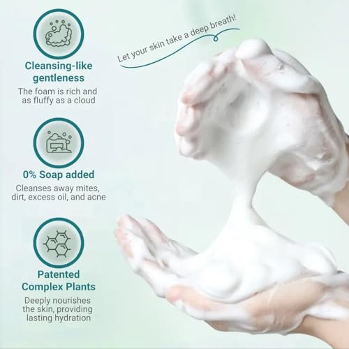 V-Line Beauty 2% BHA Salicylic Acid Foaming Cleanser for Oily Acne-Prone Skin
