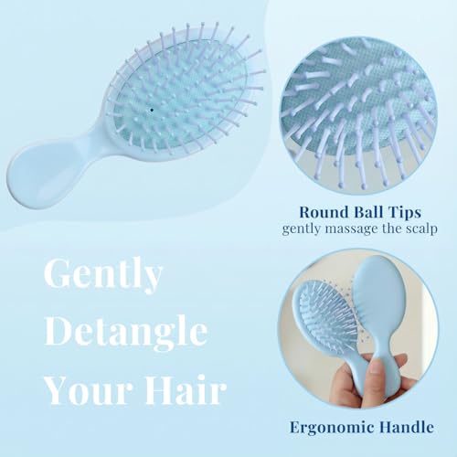 AESPAKO 12 Pack Mini Travel Hair Brushes - Blue, All Hair Types