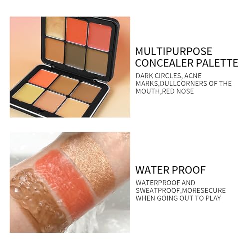 BrilliantDay Makeup Cream Contour Palette 12 Colors with Brush Set – Concealer & Highlighter