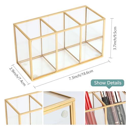 ELEGANTLIFE Clear Tempered Glass Makeup Brush Organizer - 3-Section Holder