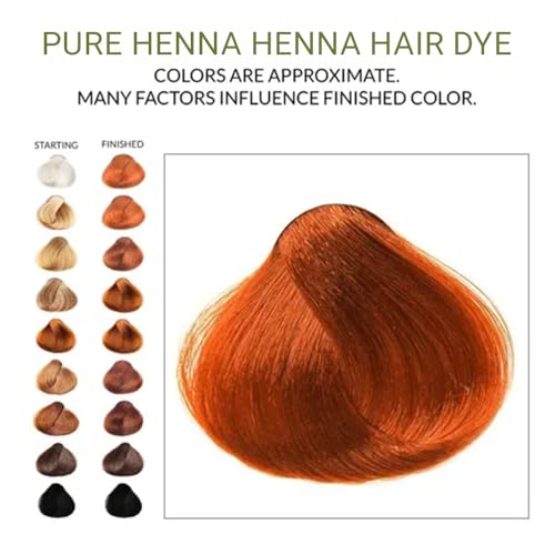 The Henna Guys 3.5oz Pure Red Henna Hair Dye Powder - Natural Hair Color