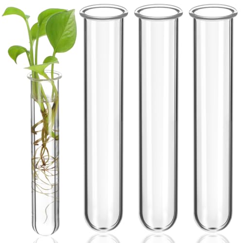 Hydroponic Plant Propagation Tubes - 4 Clear Glass Vases for Home