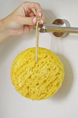 Evriholder GROOVI BEAUTY Foam Body Sponge – Pack of 2 Exfoliating Large Bath Scrubbers