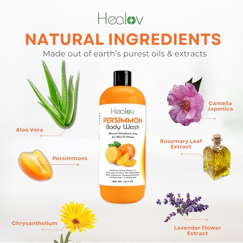 Healov Persimmon Body Wash - Natural Deodorizing Soap for Odor Control