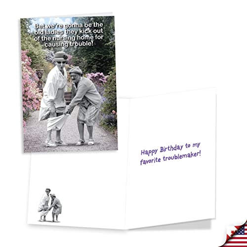 NobleWorks Birthday Greeting Cards Assortment Pack of 3