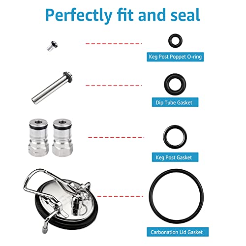 35 PCS Corny Keg O-Rings Replacement Kit with Removal Tool - Food Safe