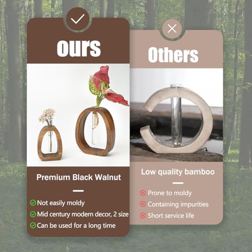 MIGAKU HOME Solid Wood Frame Glass Test Tube Vase for Hydroponics