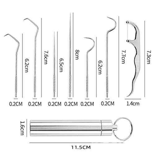 Reusable Stainless Steel Toothpick Set for Teeth Cleaning with Holder - Portable Dental Picks for Travel & Outdoor Use