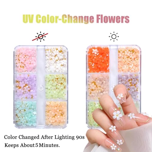 3D Flower Nail Charms - 2 Boxes Mixed Cherry Blossom Decorations