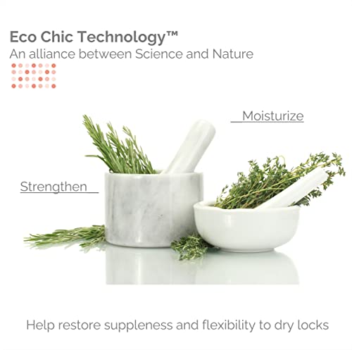 GIOVANNI 50:50 Balanced Hydrating Calming Conditioner, 8.5 oz