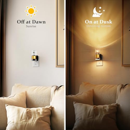 JandCase Rose Carved Night Light with RGB & Soft White Options