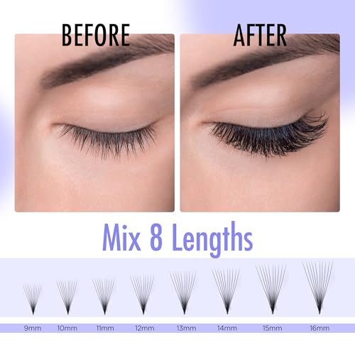 BEYELIAN 10D Premade Volume Eyelash Extensions, 500 Loose Fans, C Curl