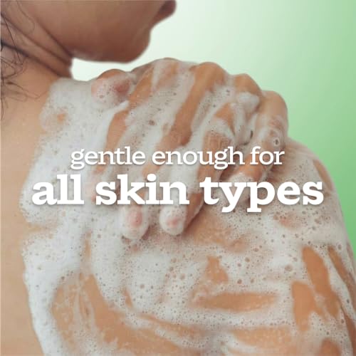 Ivory Gentle Body Wash for Family, Aloe Scent, 21 oz (Pack of 2)