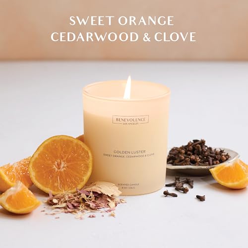 Golden Luster Scented Candle | Orange, Cedarwood & Clove | 8oz