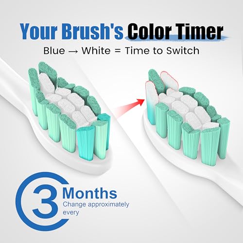 POSWEENR Replacement Toothbrush Heads for Philips Sonicare - 10 Pack