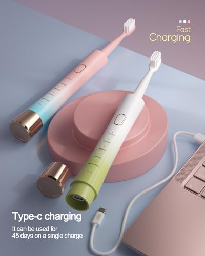 AJELU Sonic Electric Toothbrush for Adults with 8 Brush Heads
