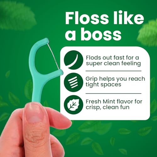 Mint Dental Flossers - 300 Count Portable Toothpicks for Healthy Teeth