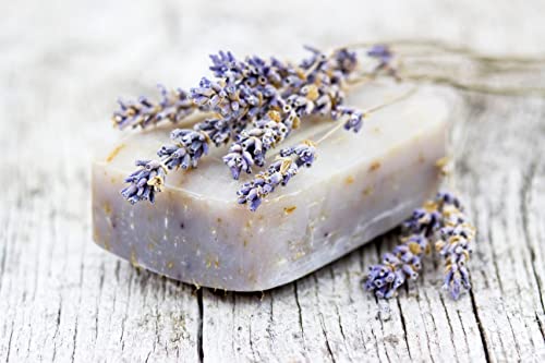 Organic Lavender Tea - 100% Raw Albanian Harvest, 4oz