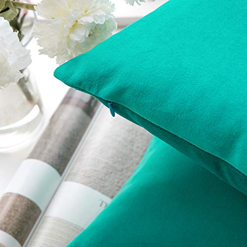 Phantoscope Velvet Throw Pillow Covers - Pack of 2, 20x20 inches, Turquoise