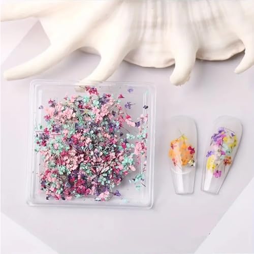POWPOP Style-04 3D Dried Flower Nail Art Stickers, Colorful Floral Decals for Summer Manicure