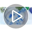 CYS EXCEL Sea Glass Vase Filler - Palm Green, Light Green & Clear (24oz)