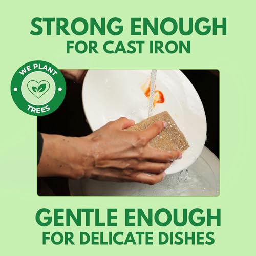 Biodegradable Kitchen Sponges - Natural Cellulose & Coconut, Pack of 6