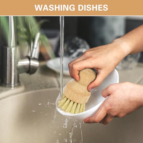 Natural Wooden Dish Brush Set with Draining Rack - 3 Pieces