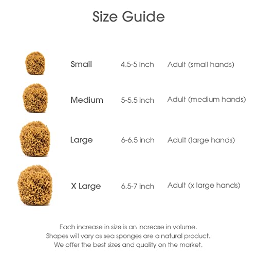 Naroa Medium Natural Sea Sponge | Gentle Bath Loofah for Smooth Skin