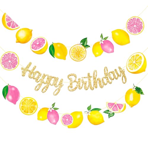 Lemon Pink Citrus Birthday Banner Set - Glitter Garland for Girls