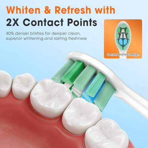 Toothbrush Replacement Heads for Philips C1 & C2 Electric