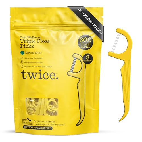TWICE Eco-Friendly Dental Floss Picks – 300 Count, Mint Flavor