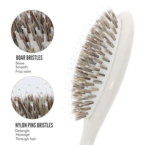 KISMETICS Beige Boar Bristle Hair Brush with Nylon Pins - Detangler & Smoothing