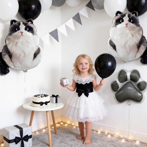Birman Cat Foil Balloons Set - Cat Paw & Sitting Cat Decorations