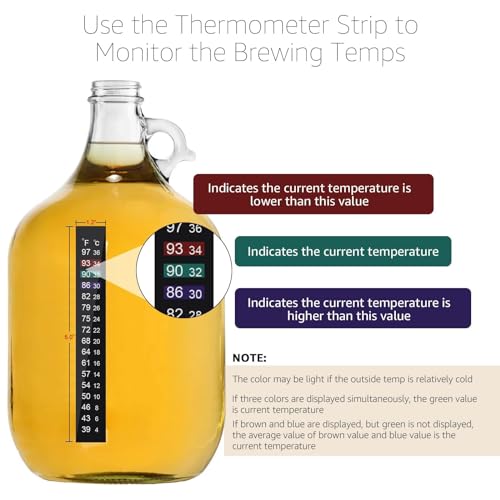 6 Pack Twin Bubble Airlocks for Homebrewing & Fermentation