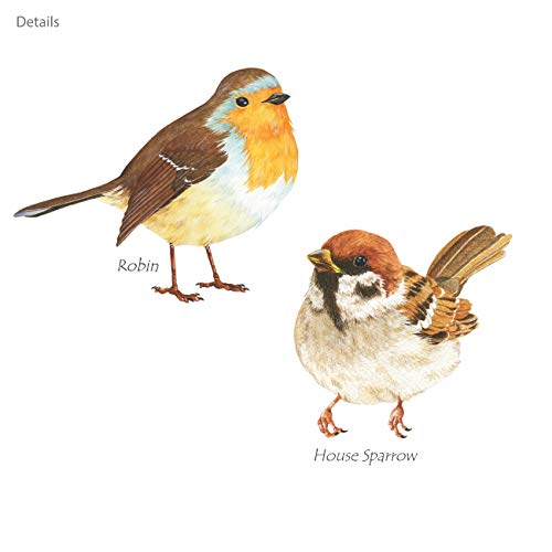 DECOWALL Little Birds Kids Wall Stickers - Removable Decals for Nursery
