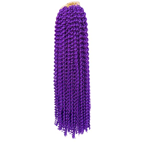 24 Inch Purple Passion Twist Hair - 2 Packs Water Wave Crochet Extensions
