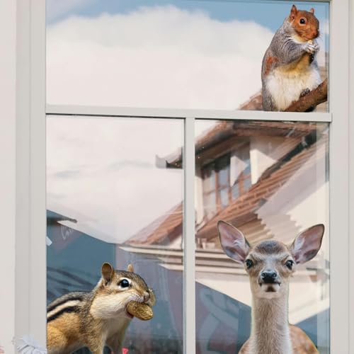 3 PCS Woodland Animal Window Stickers - Squirrels, Deer & Hamsters