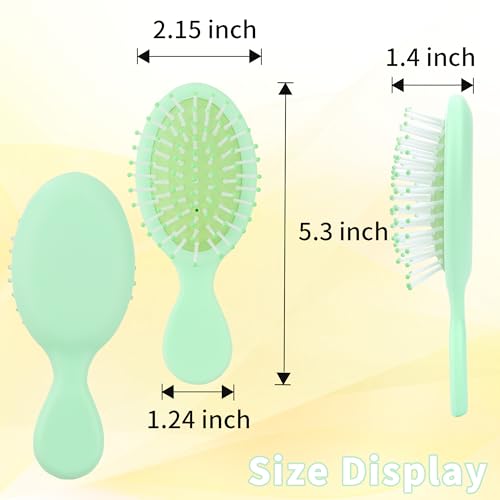Mini Wet Hair Brush Travel Detangler - 4 Pack, Soft Bristles