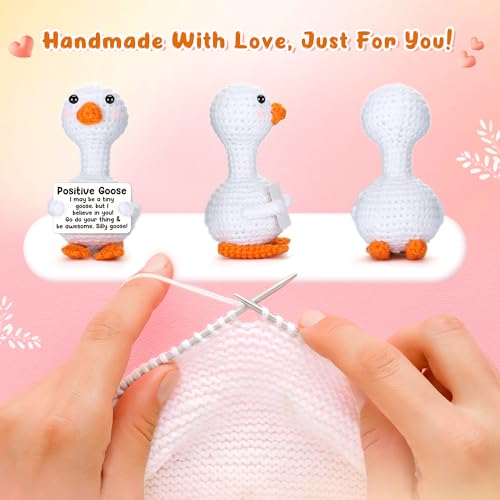 Positive Crochet Goose Gift - Encouragement & Friendship Token