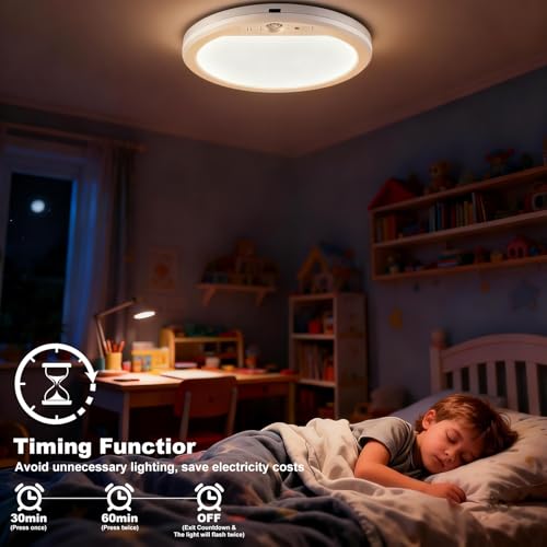 Rechargeable Motion Sensor Ceiling Light with Remote Control