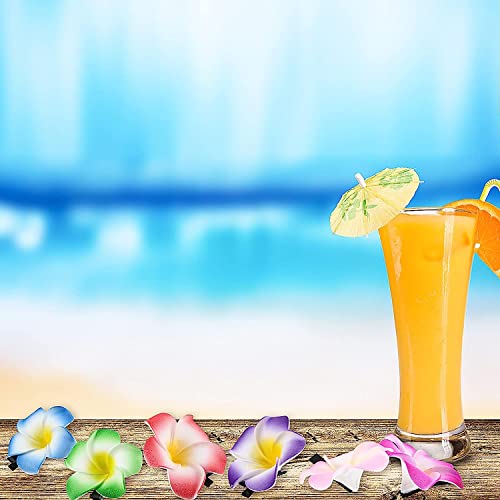 Willbond 36 Pcs Hawaiian Flower Hair Clips for Beach & Party Styles