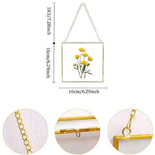 Square Pressed Flower Picture Frame - 6x6 Clear Glass Wall Art