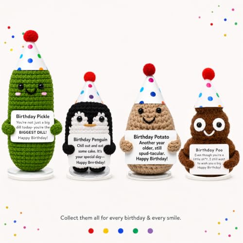 Funny Handmade Crochet Birthday Pickle Gift with Stand & Box