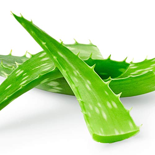 Soothing Aloe Vera Makeup Removing Cleansing Wipes - 60 Count