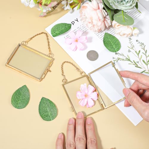 YUXIANLB 4 Pcs Mini Double Glass Frame for Pressed Flowers - 2x3 Inch Gold Wall Hanging Decor