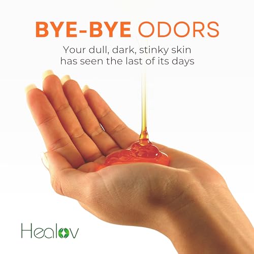 Healov Persimmon Body Wash - Natural Deodorizing Soap for Odor Control
