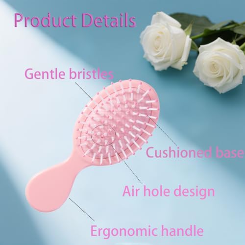 Mini Hair Brush Set - 6 Travel Detangling Brushes for All Hair Types